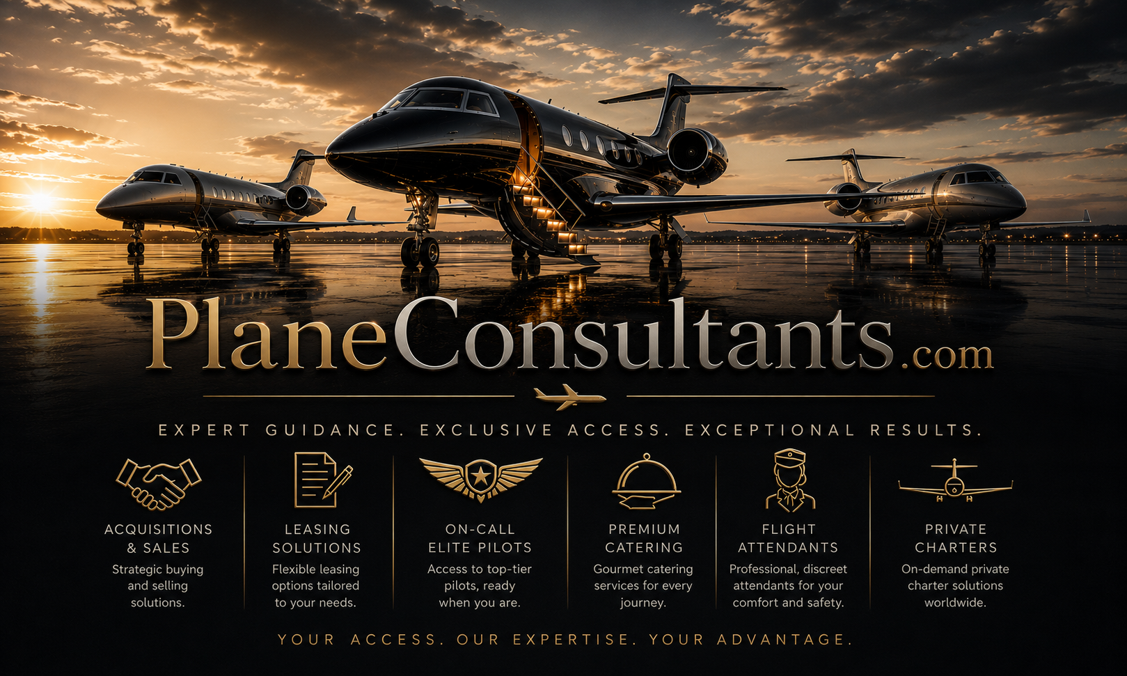 Logo for PlaneConsultants.com